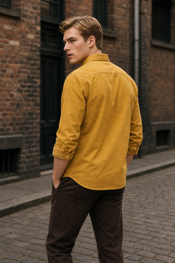 Clerk 21 Oxford shirt back or construction