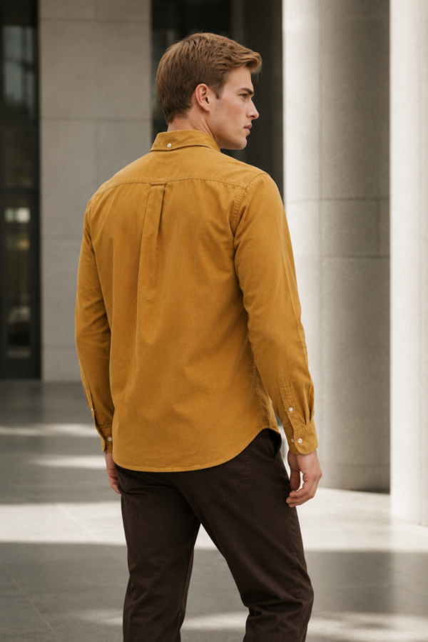 Clerk 31 Oxford shirt back or construction