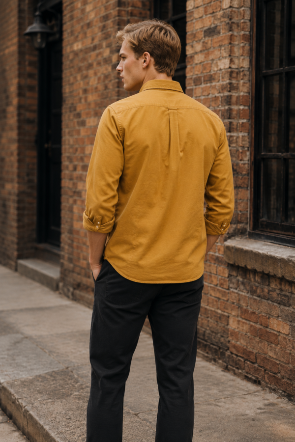 Bounces 46 Oxford shirt back or construction